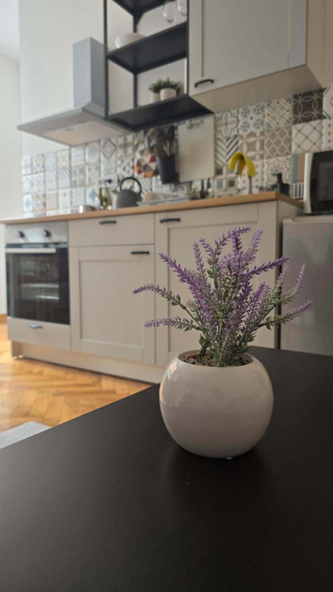 Apartment Major Beograd Eksteriør billede